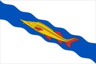 Соревнования города Ейска по спортивному ориентированию Соревнования города Ейска по спортивному ориентированию